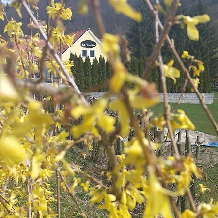 Penzion Kormorán Vranov nad Dyjí Esterno foto